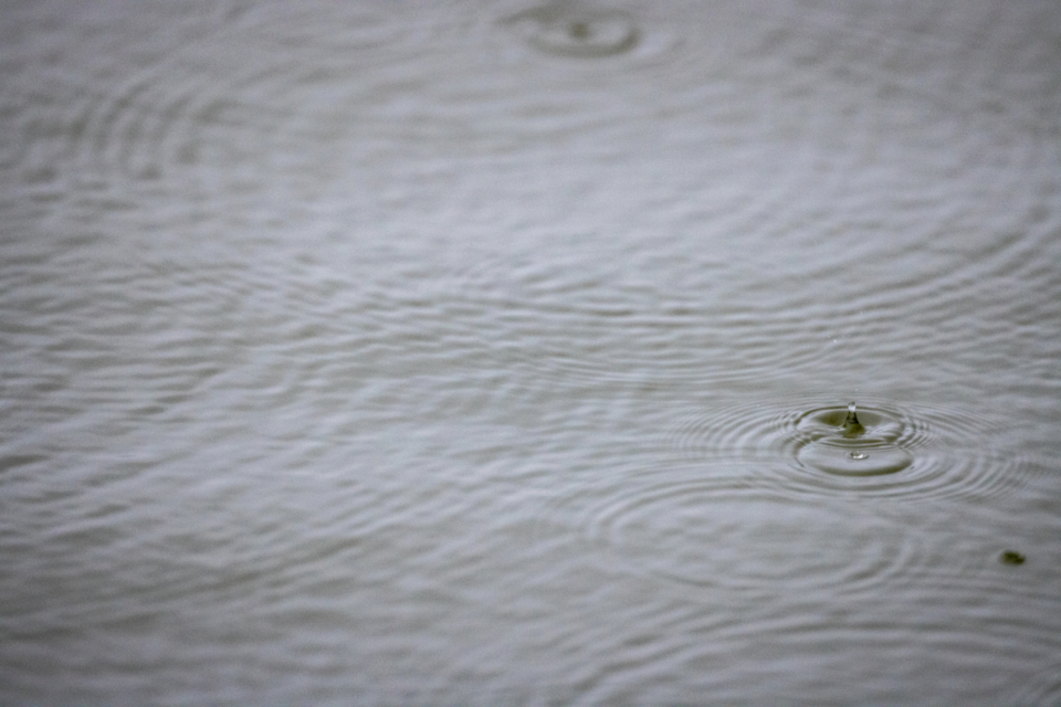 Water Splash