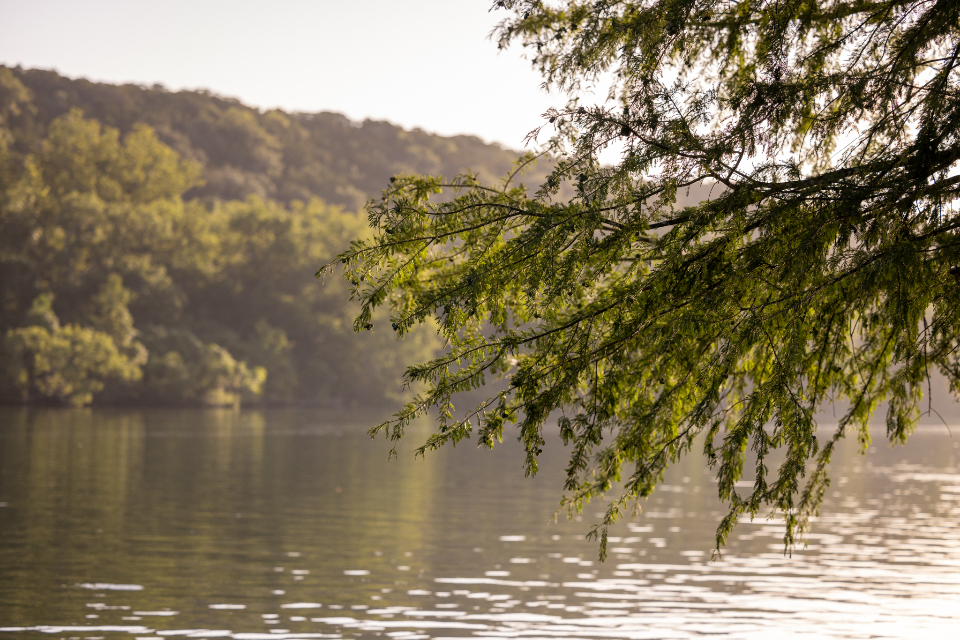 River Landscape