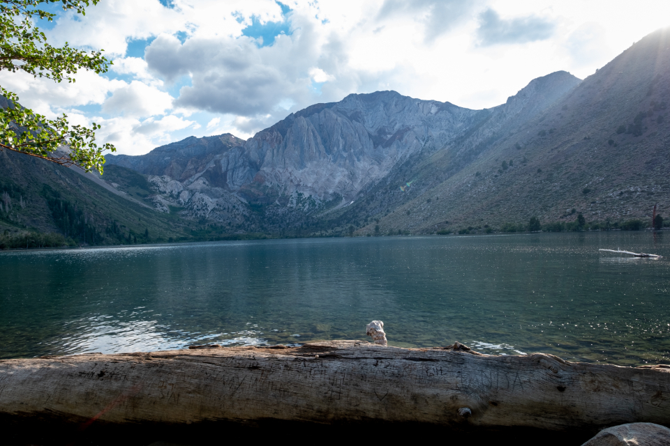 Lake Landscape