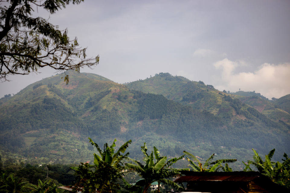 Tropical Mountain