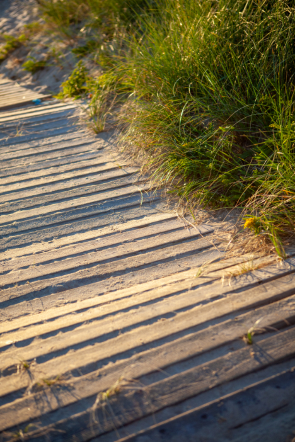Beach Boardwalk