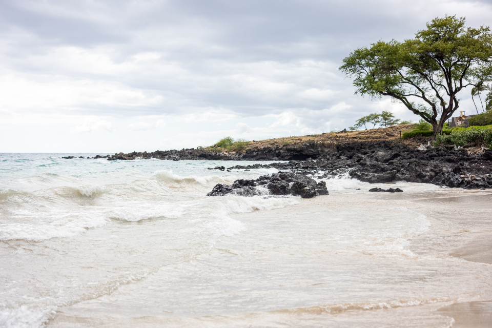 Beautiful Ocean