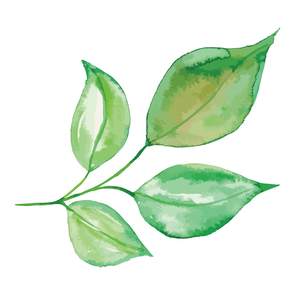 Foliage Leaf Clipart