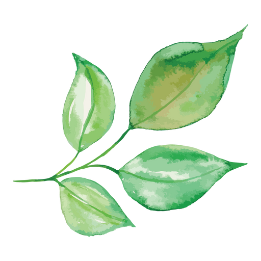 Foliage Leaf Clipart