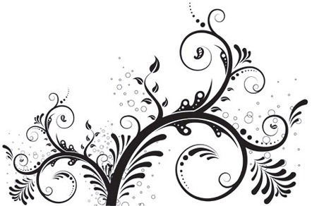 5 Floral Ornaments Vector Pack