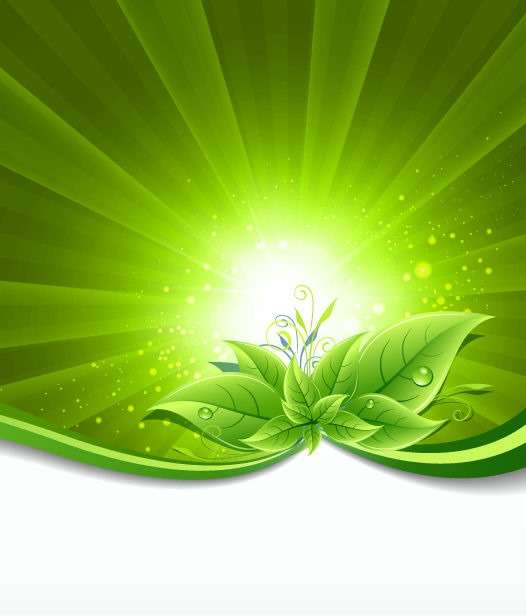 Green Leaves on Burst Background Vector Illustration