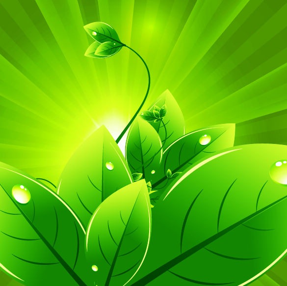 Vector Background with Green Leaves