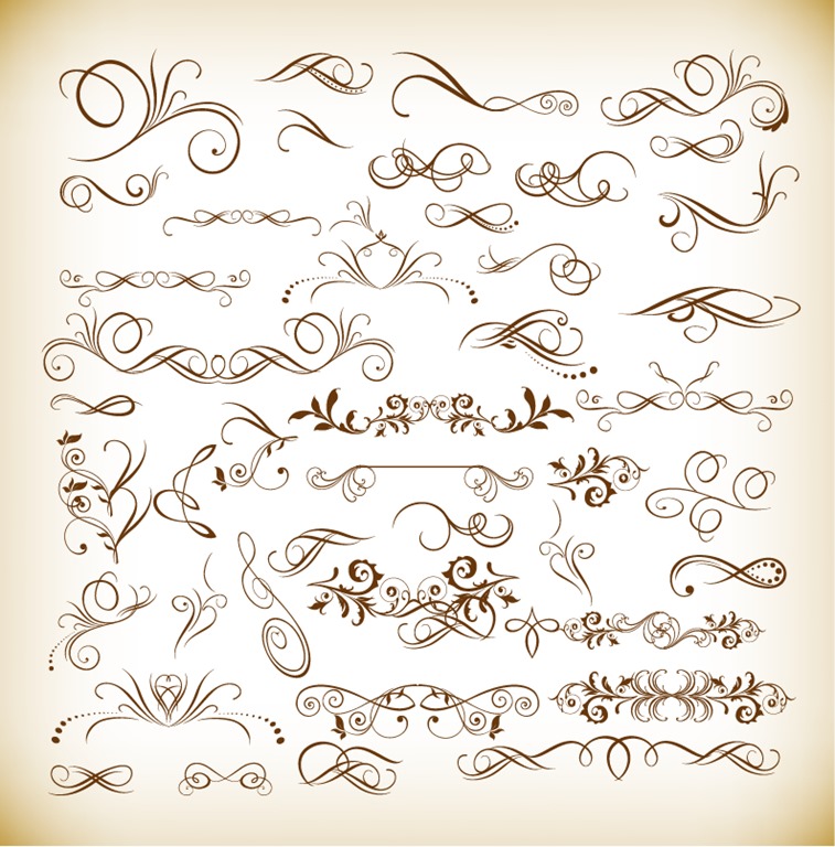 Vector Illustration of Floral Design Elements