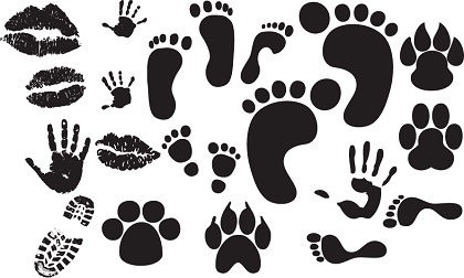 Free Foot,Hand,Lips Print Vectors
