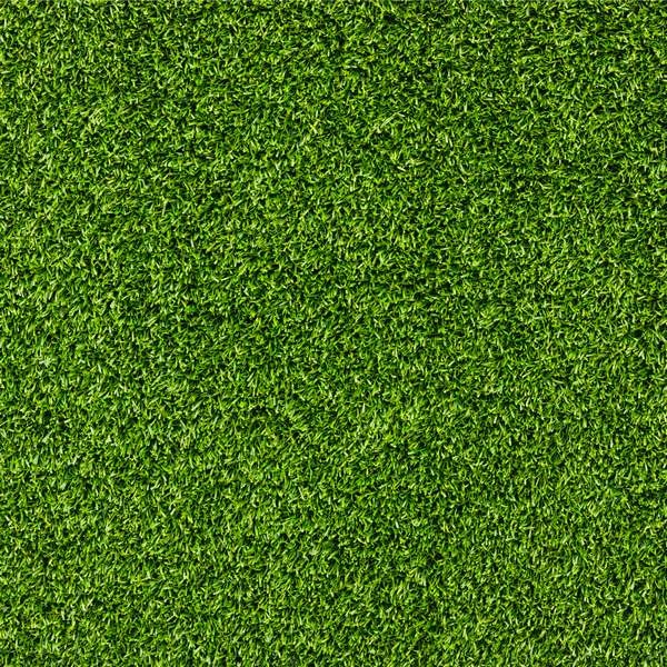 Beautiful Green Grass Texture