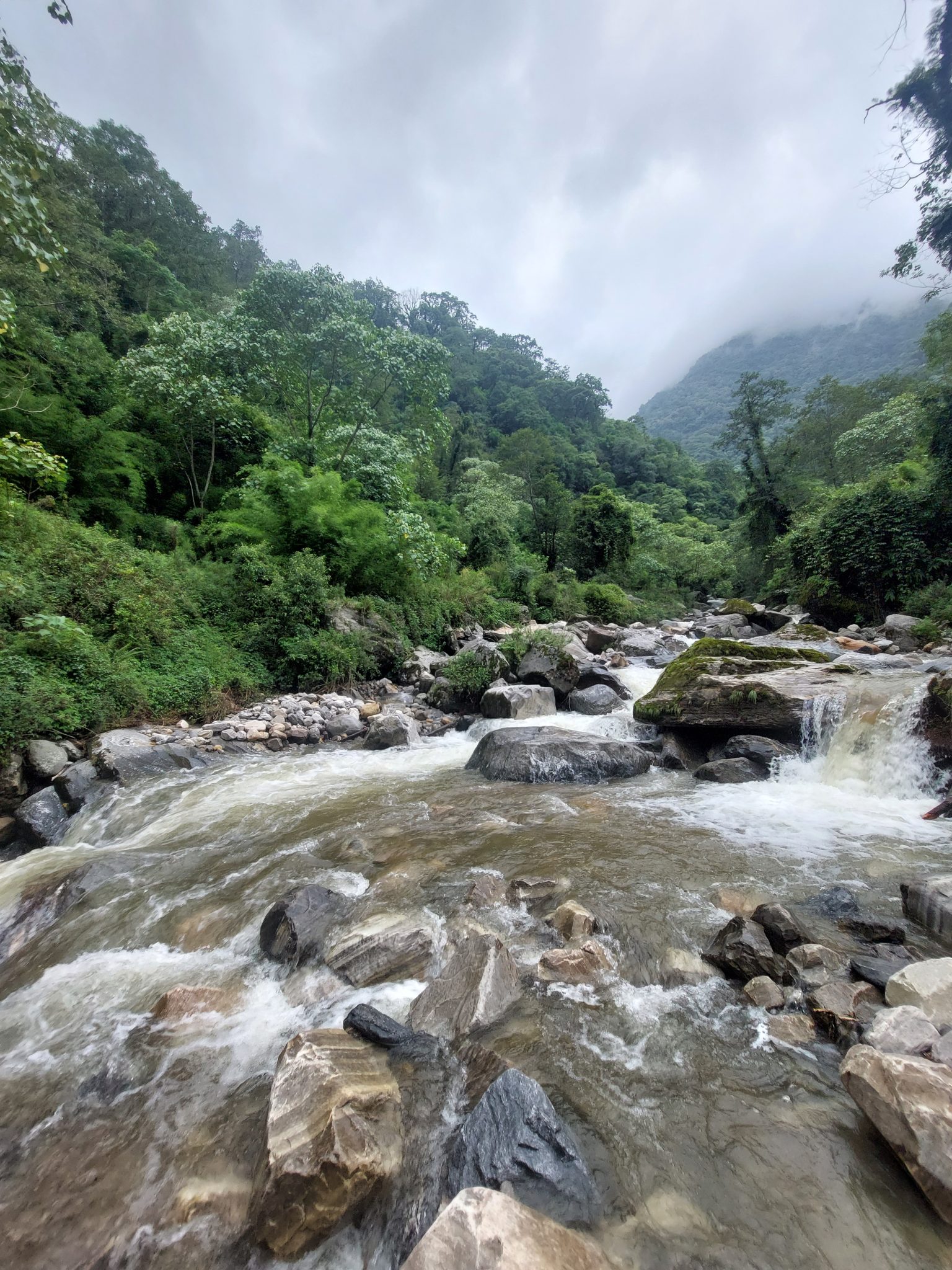 A mountain river in the high hills surrounded by jungle under the gloomy sky.