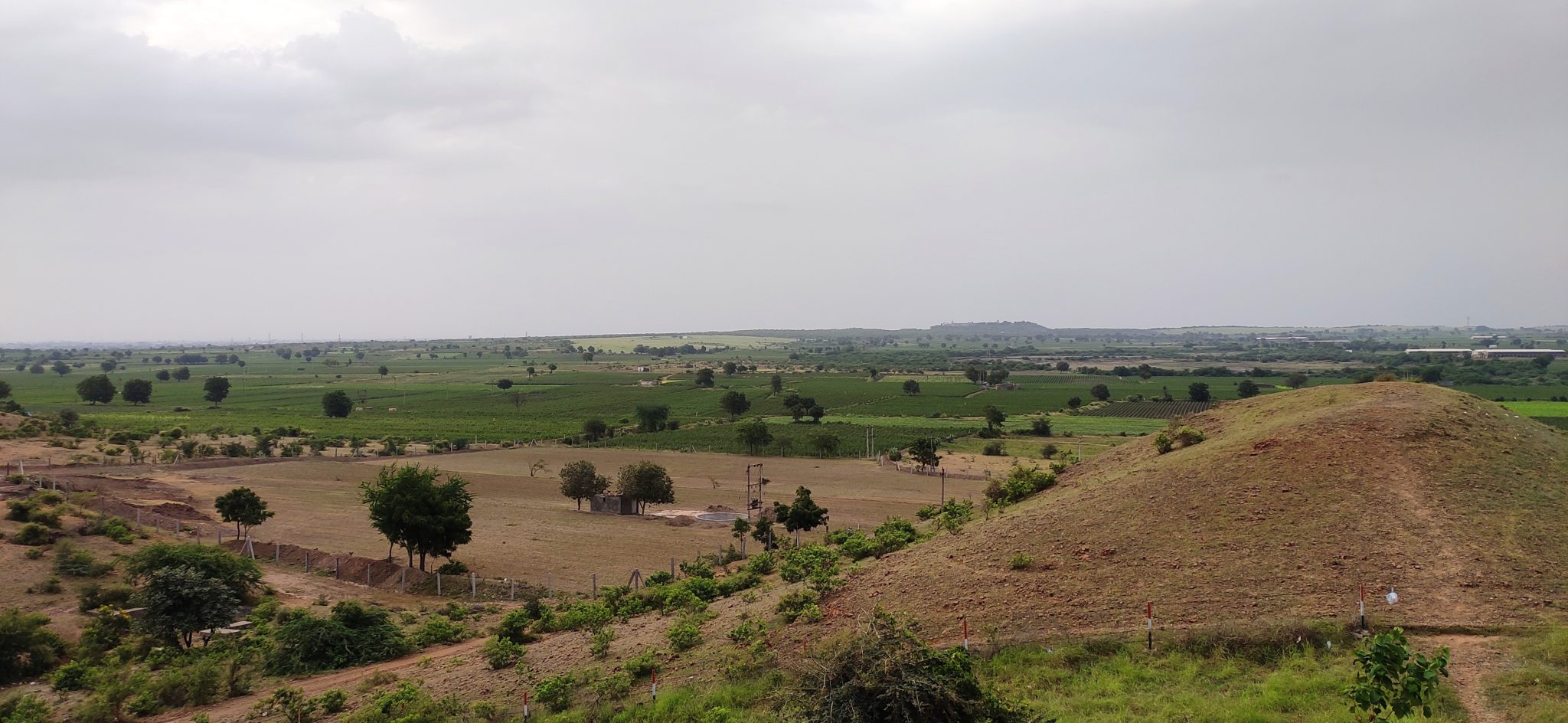 Long view of  a mostly open plain with plots of both dry and lush plots under a cloudy sky.