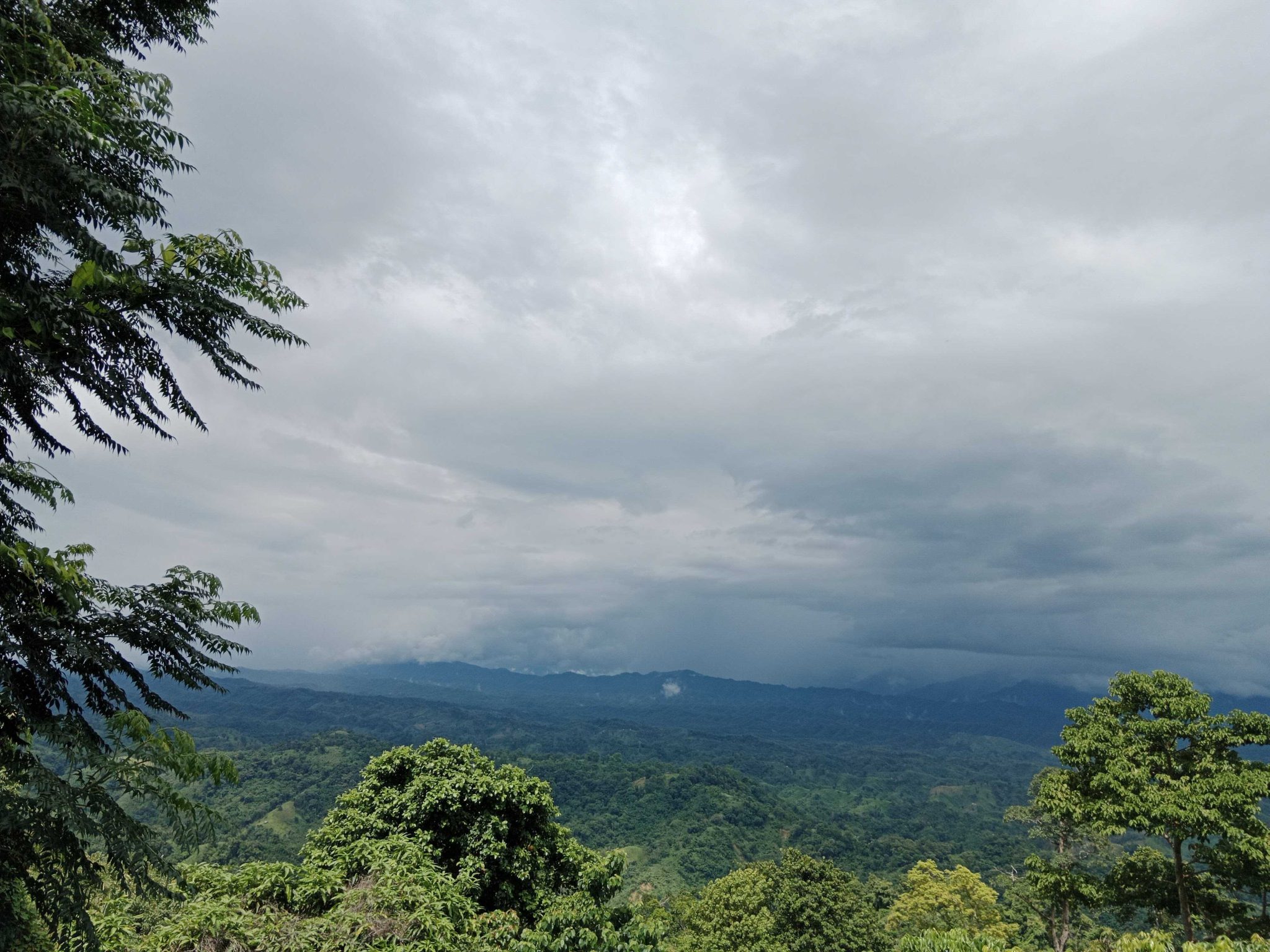 Majestic cloud and tree: A closer look from the hilltop.