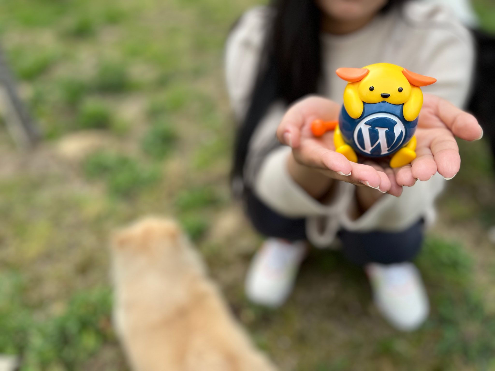 Wapuu Wallpaper Collection: Hands holding wapuu