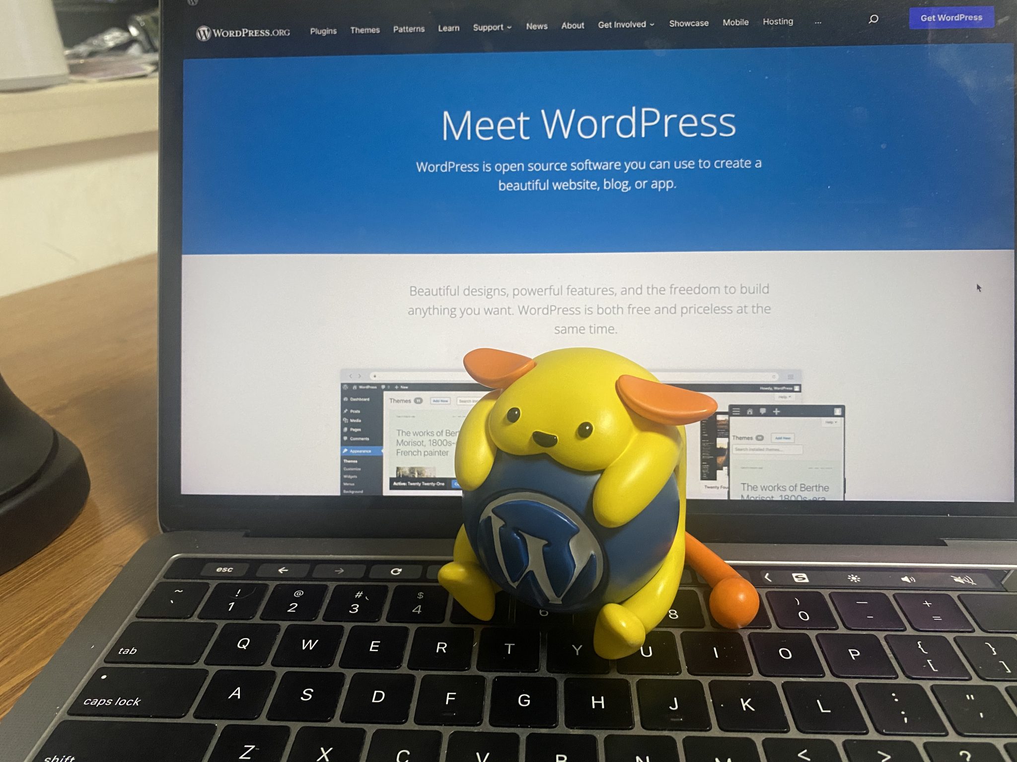 Entity wapuu pictured with WordPress.org, taken in (2022), during sample development.