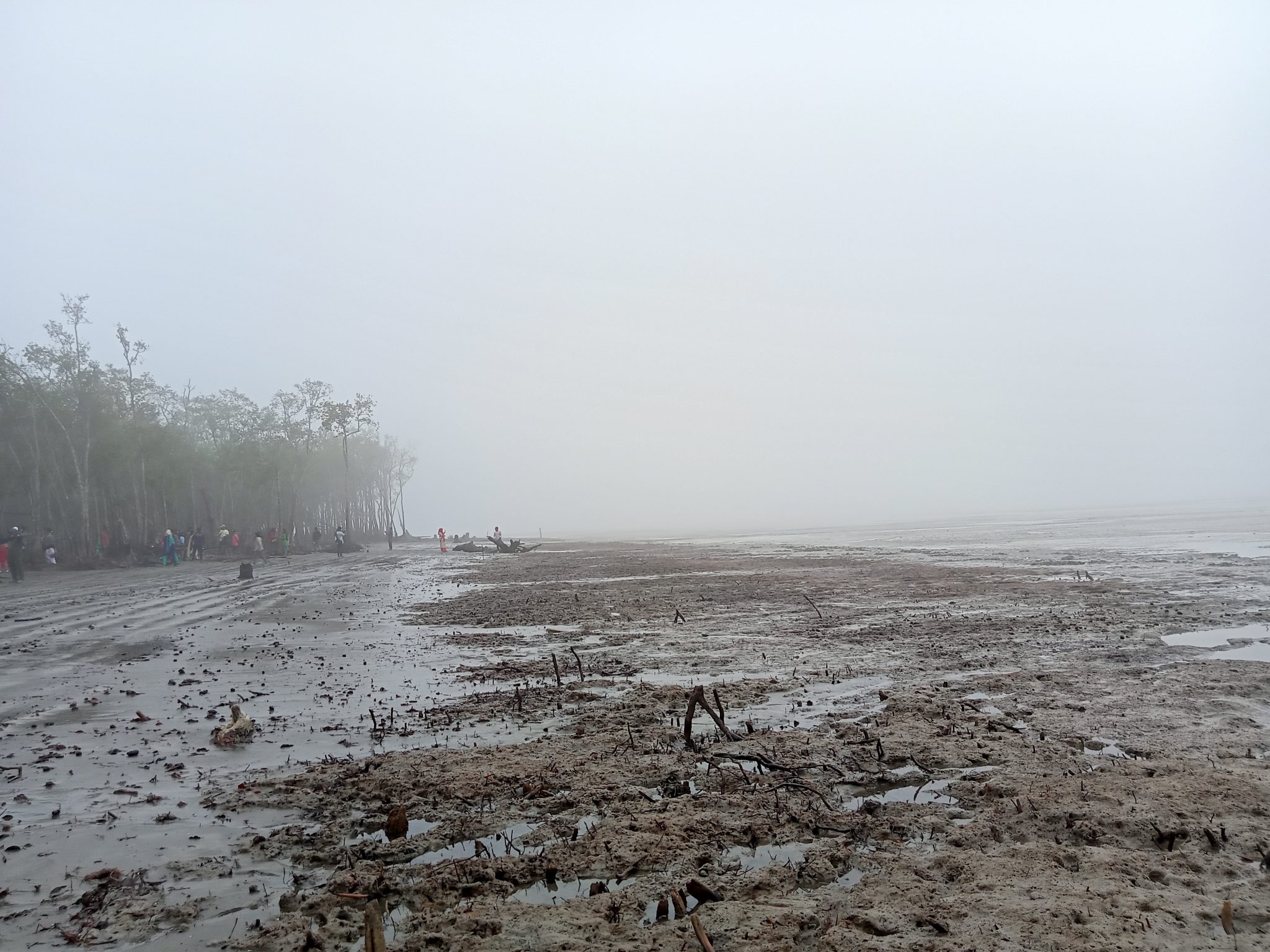 Jamtola Sea Beach, Sundarbans, Bangladesh