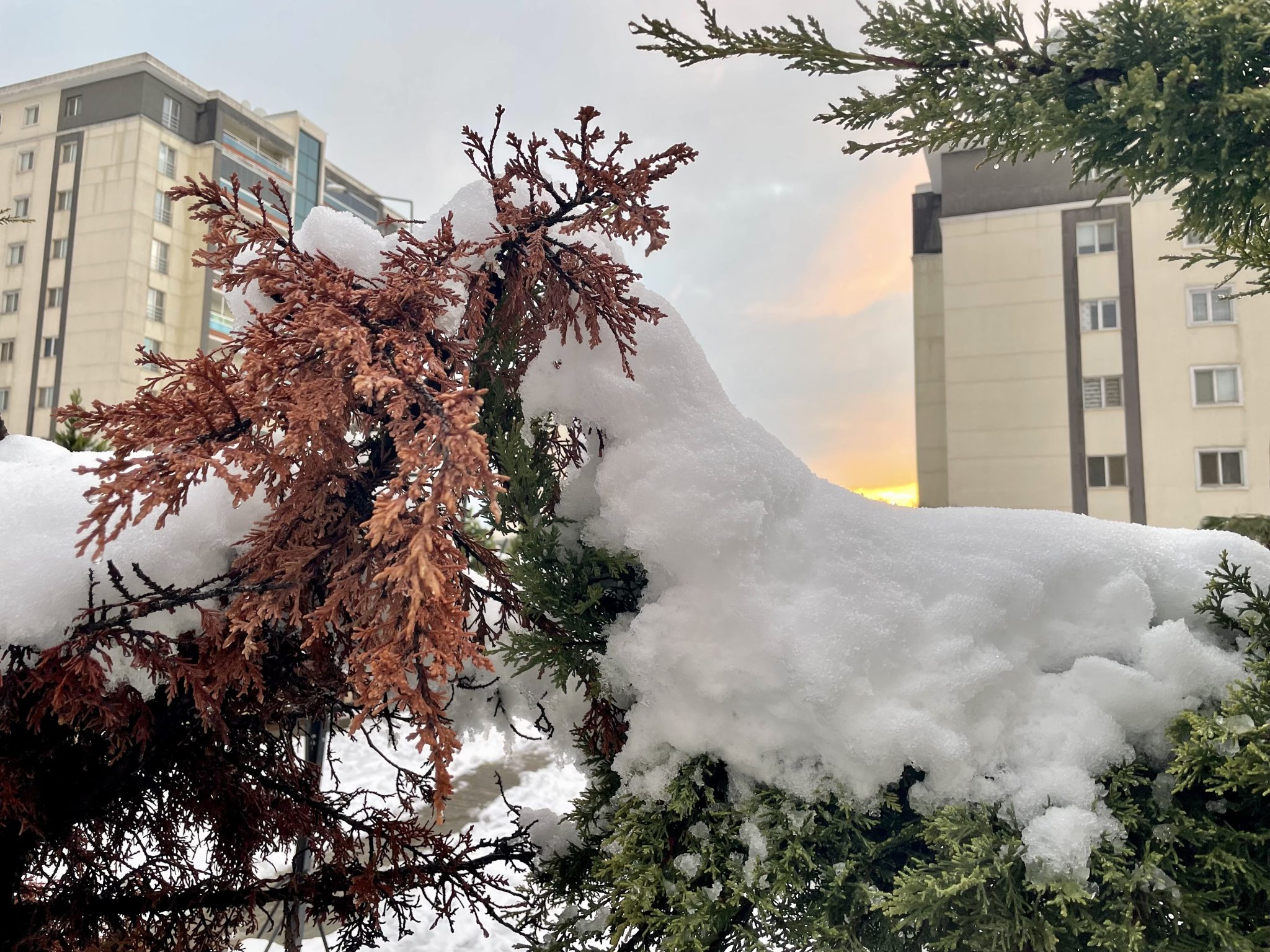 Beautiful snow and sunshine