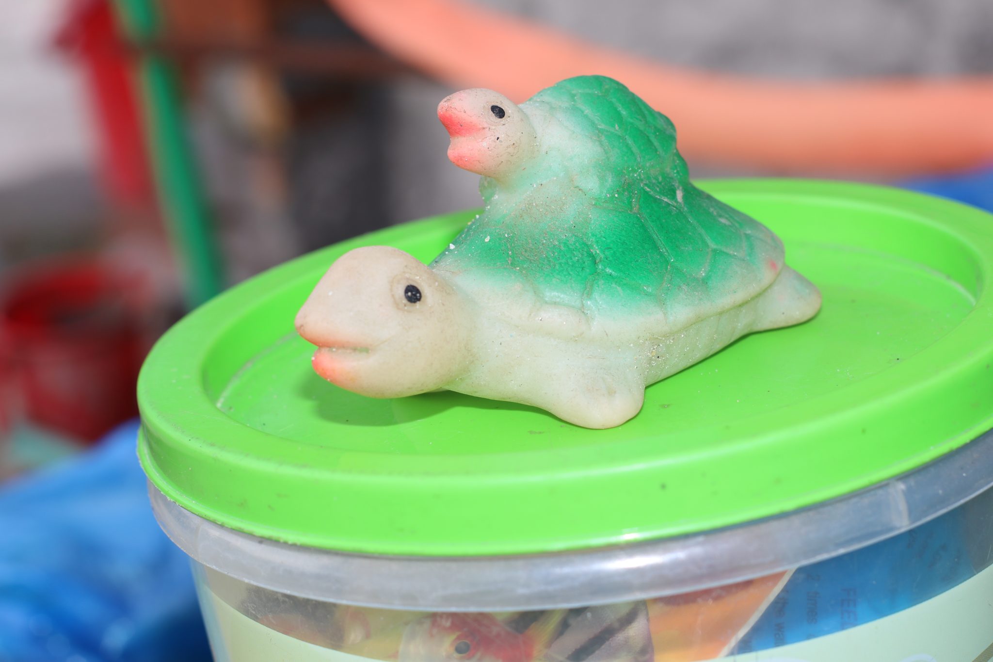 Plastic Tortoise Toy