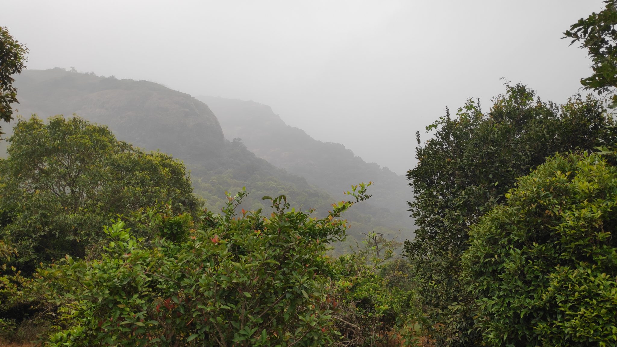 Hills, Trees and Nature