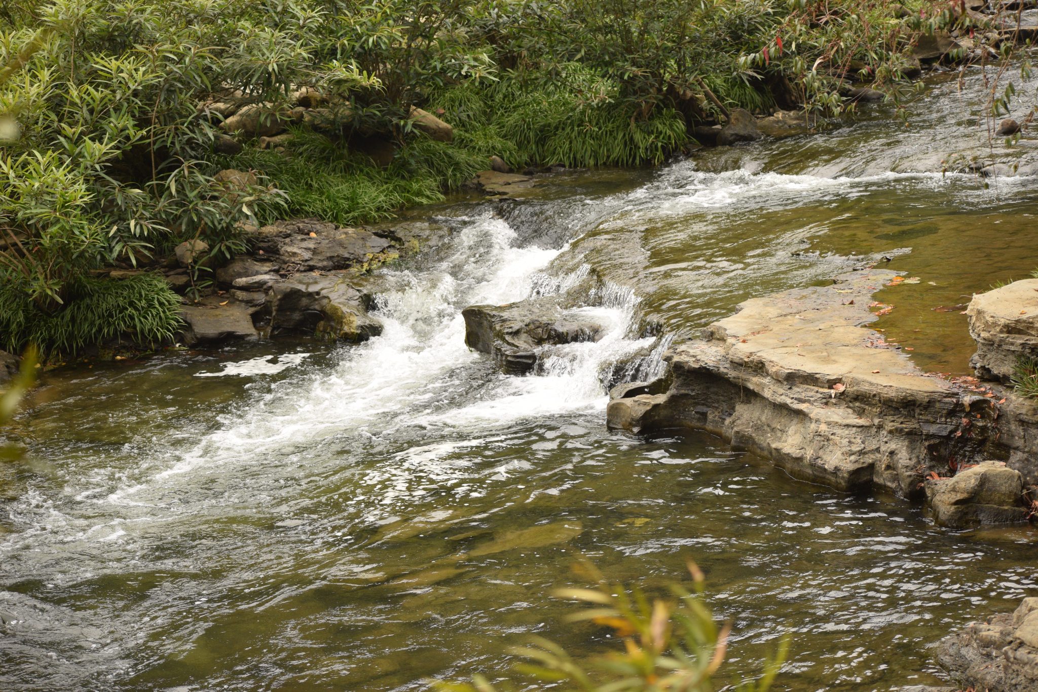 Mountain Spring