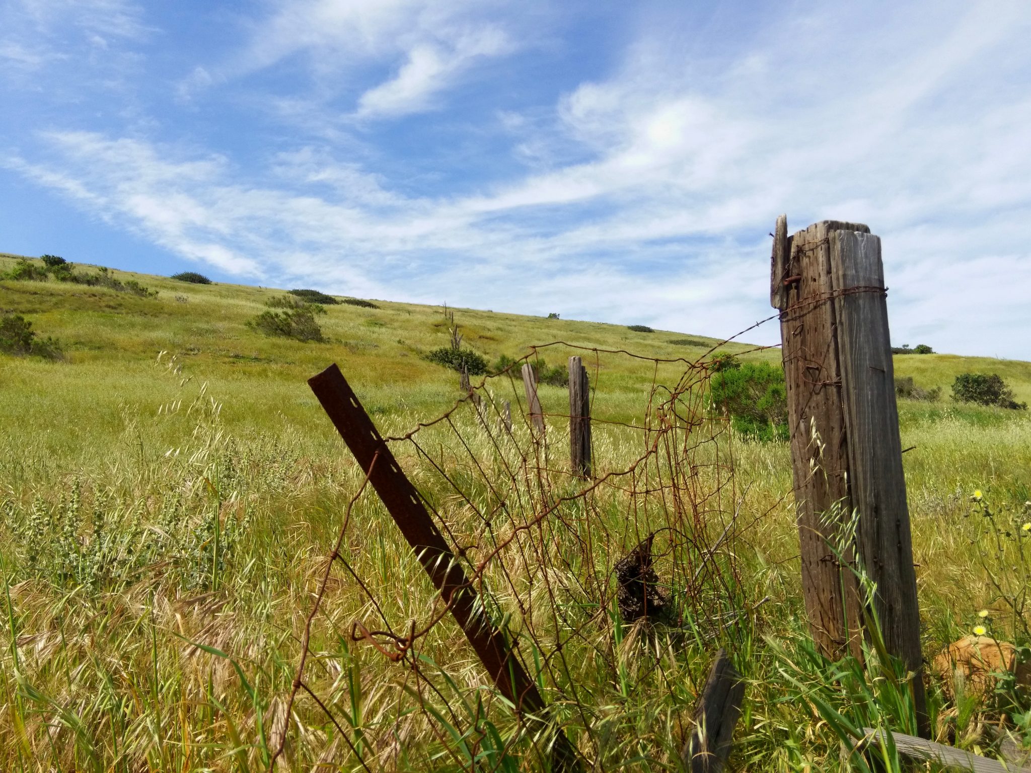 broken wire fencing in a field