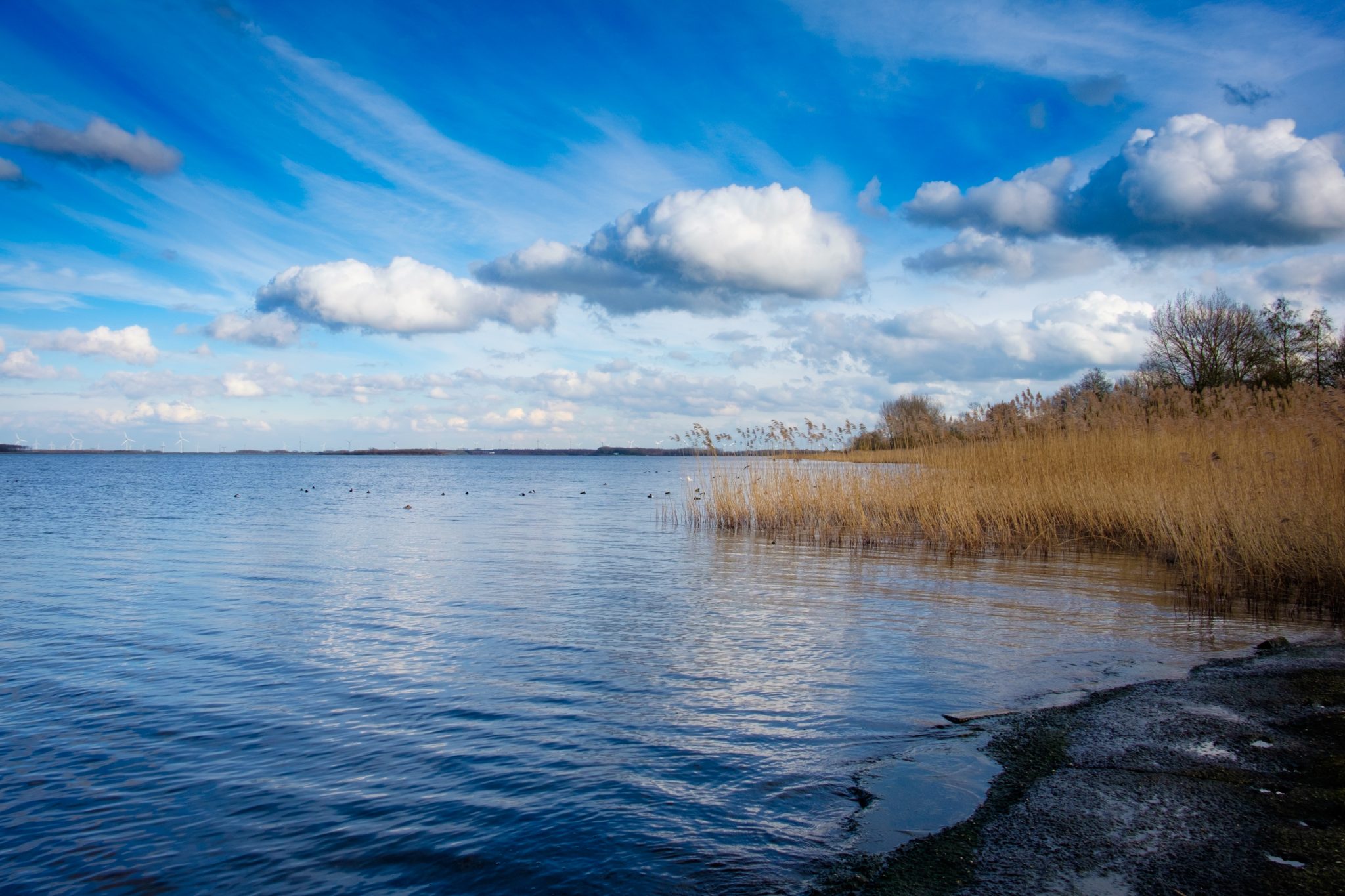 Gooimeer, The Netherlands