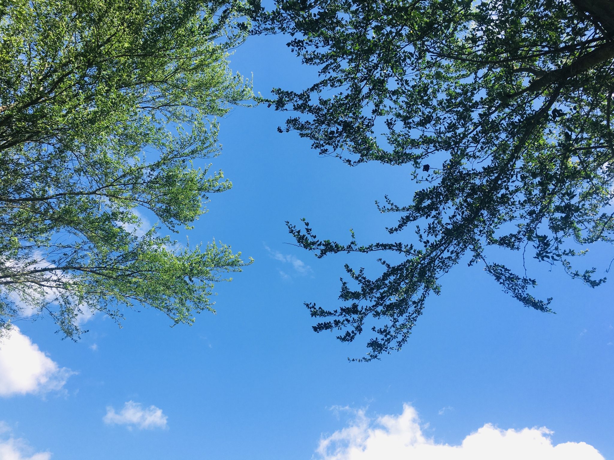 Sky View From Azimpur