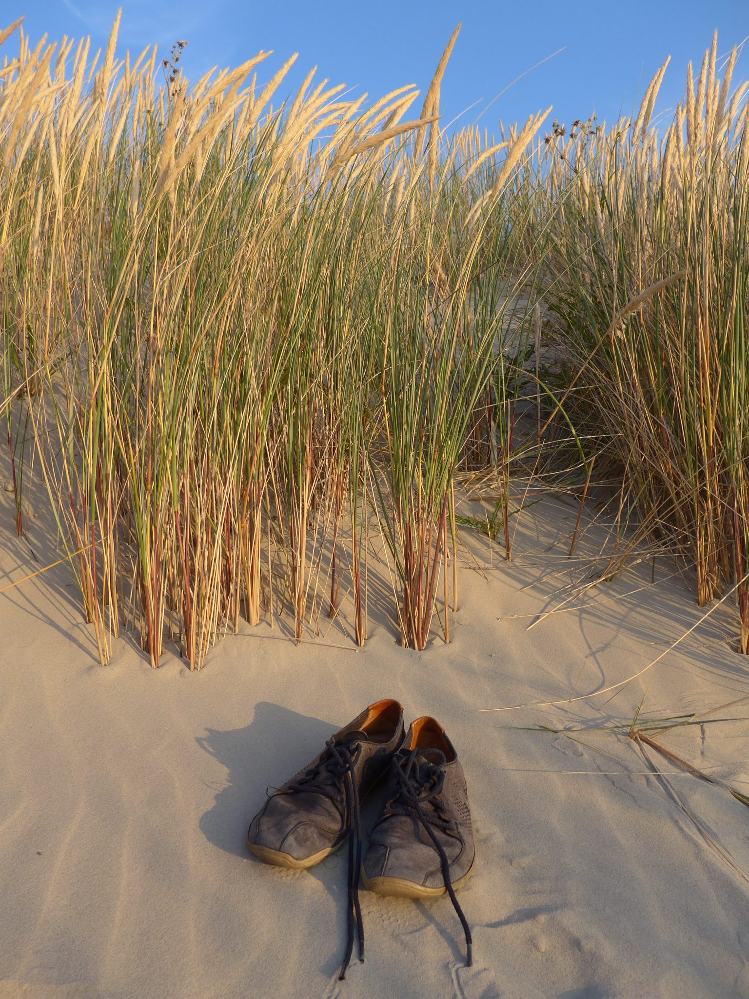 Barefoot in the dunes on Terschelling, Netherlands. WorldPhotographyDay22