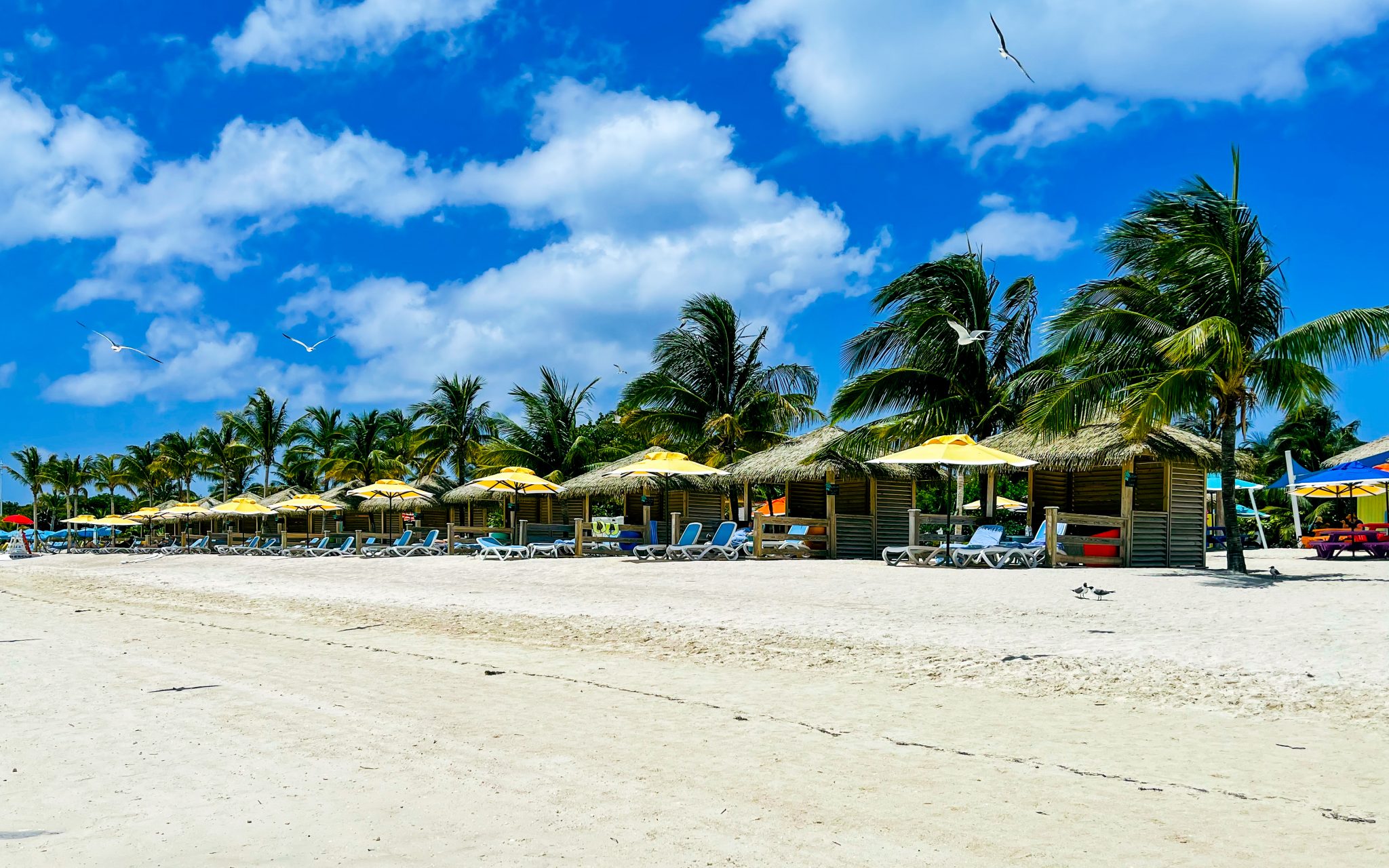 Cabanas on a tropical beach