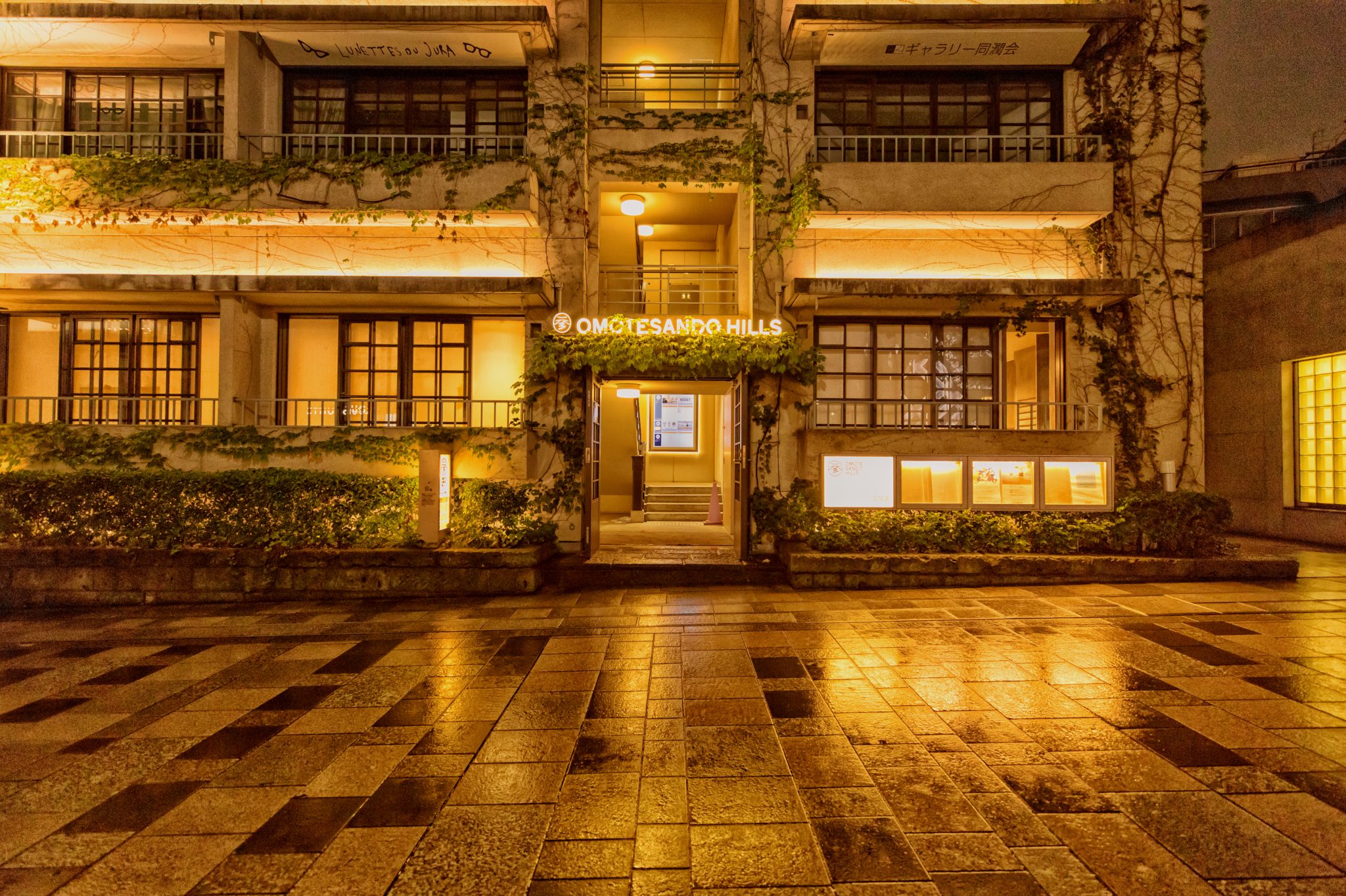 Rainy Omotesando Hills at night