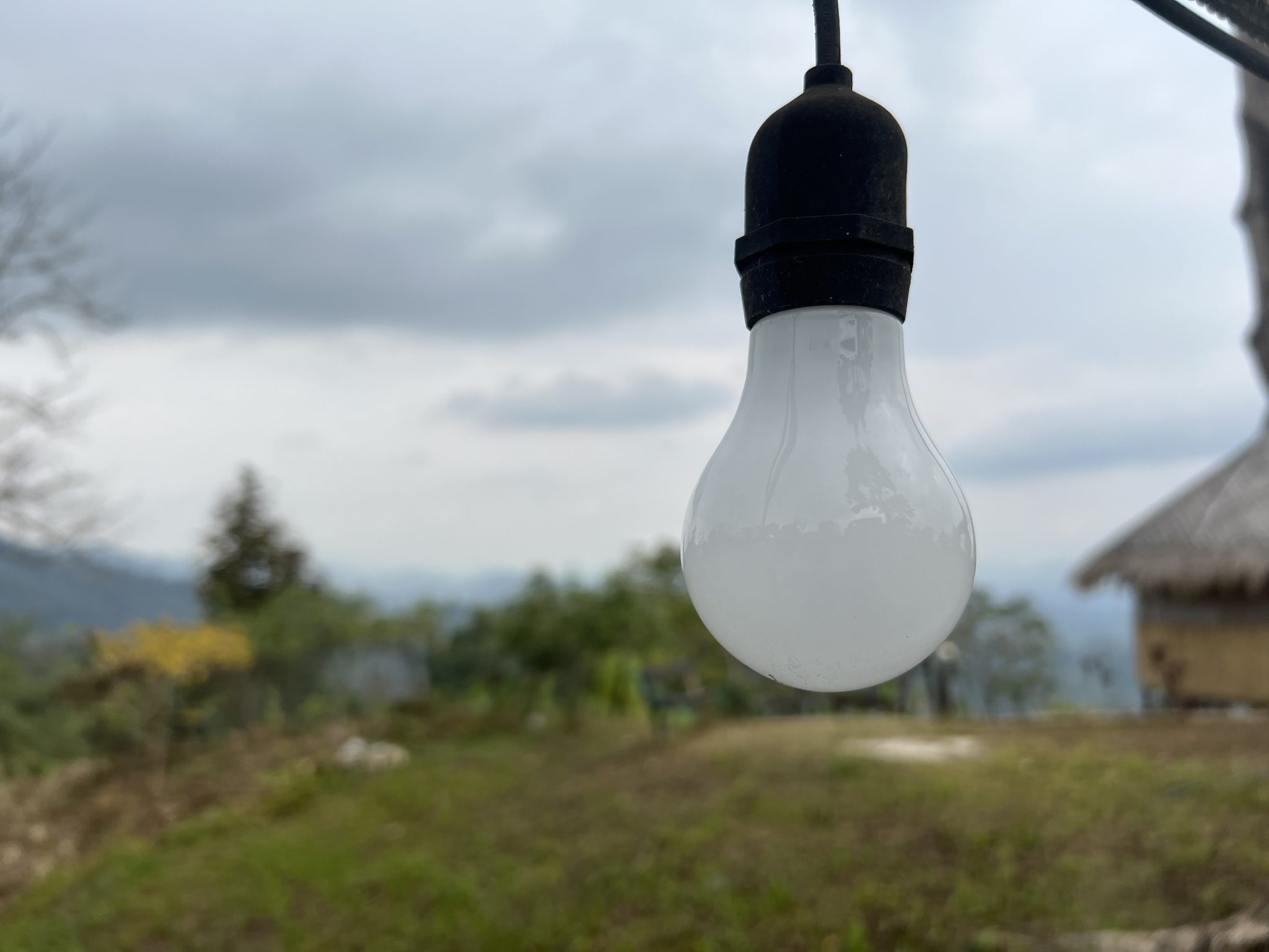 Bulb