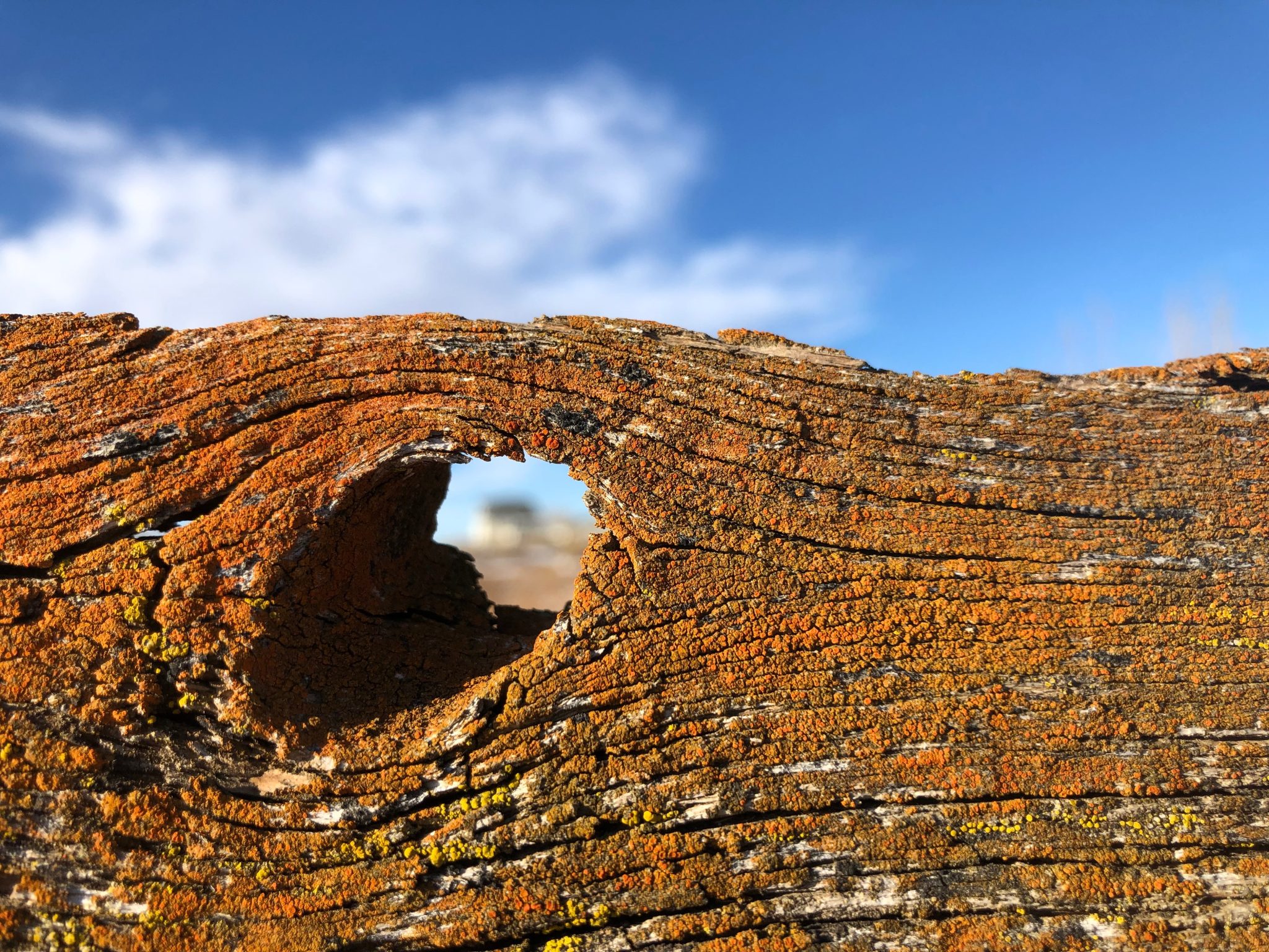 View through a hole in weathered wood fence of a homestead