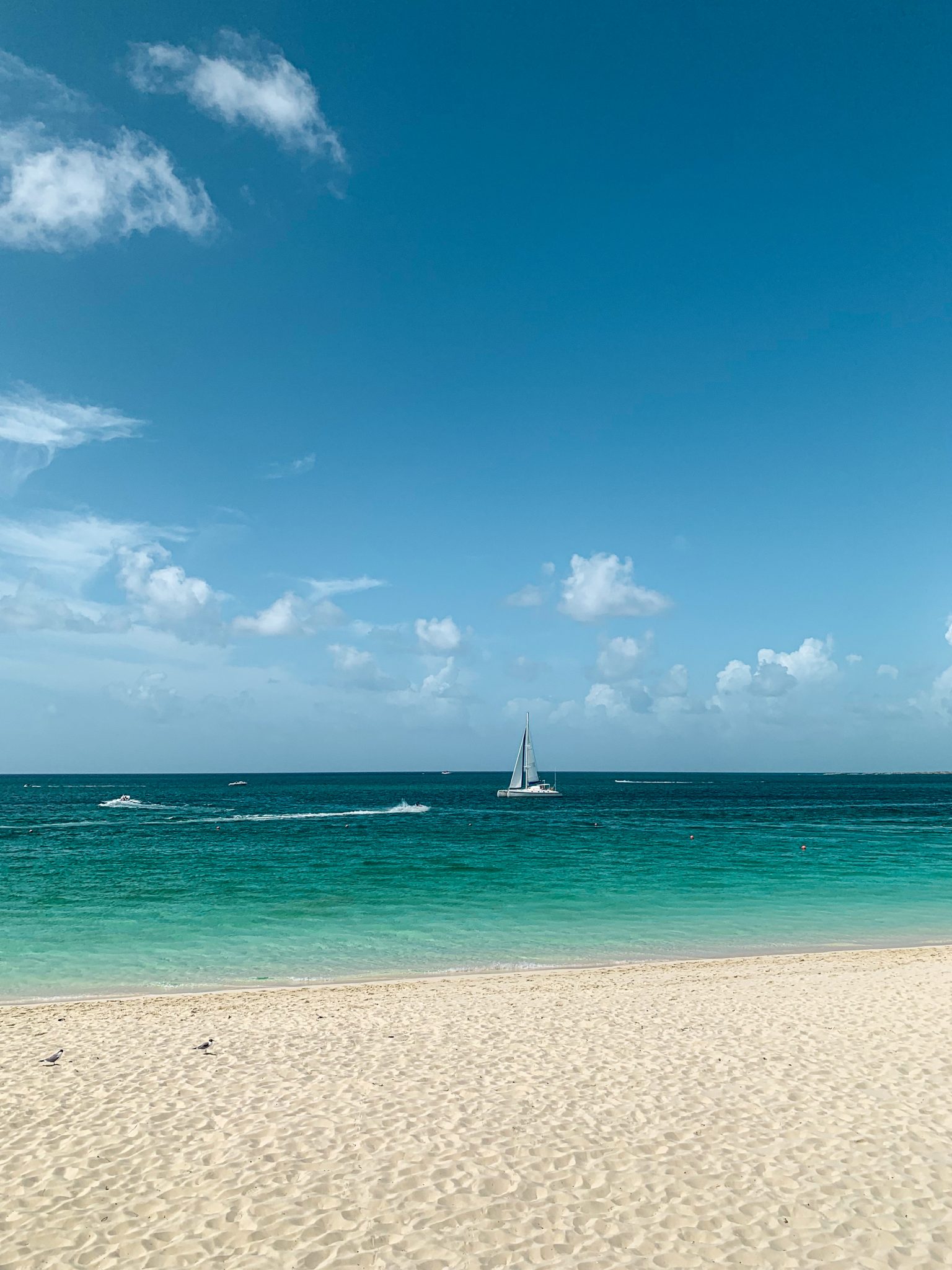Single sailboat on clear water