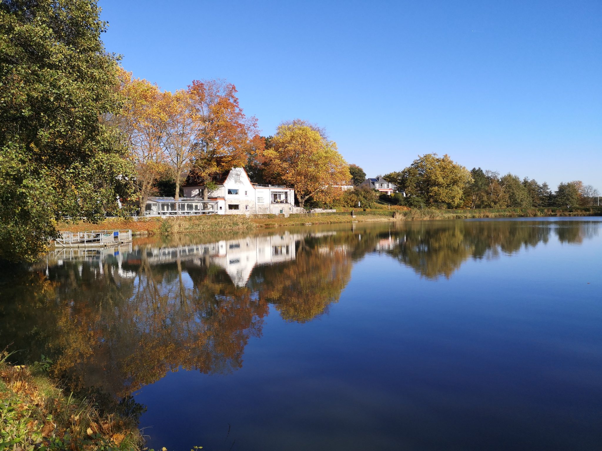 lake in autumn