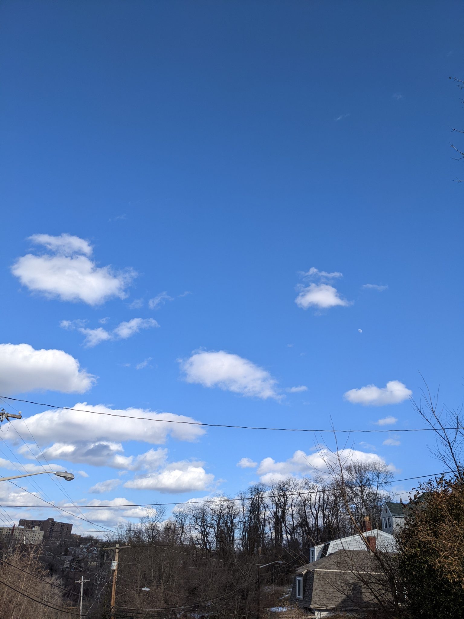 Super blue sky, fluffy clouds and some tree tops