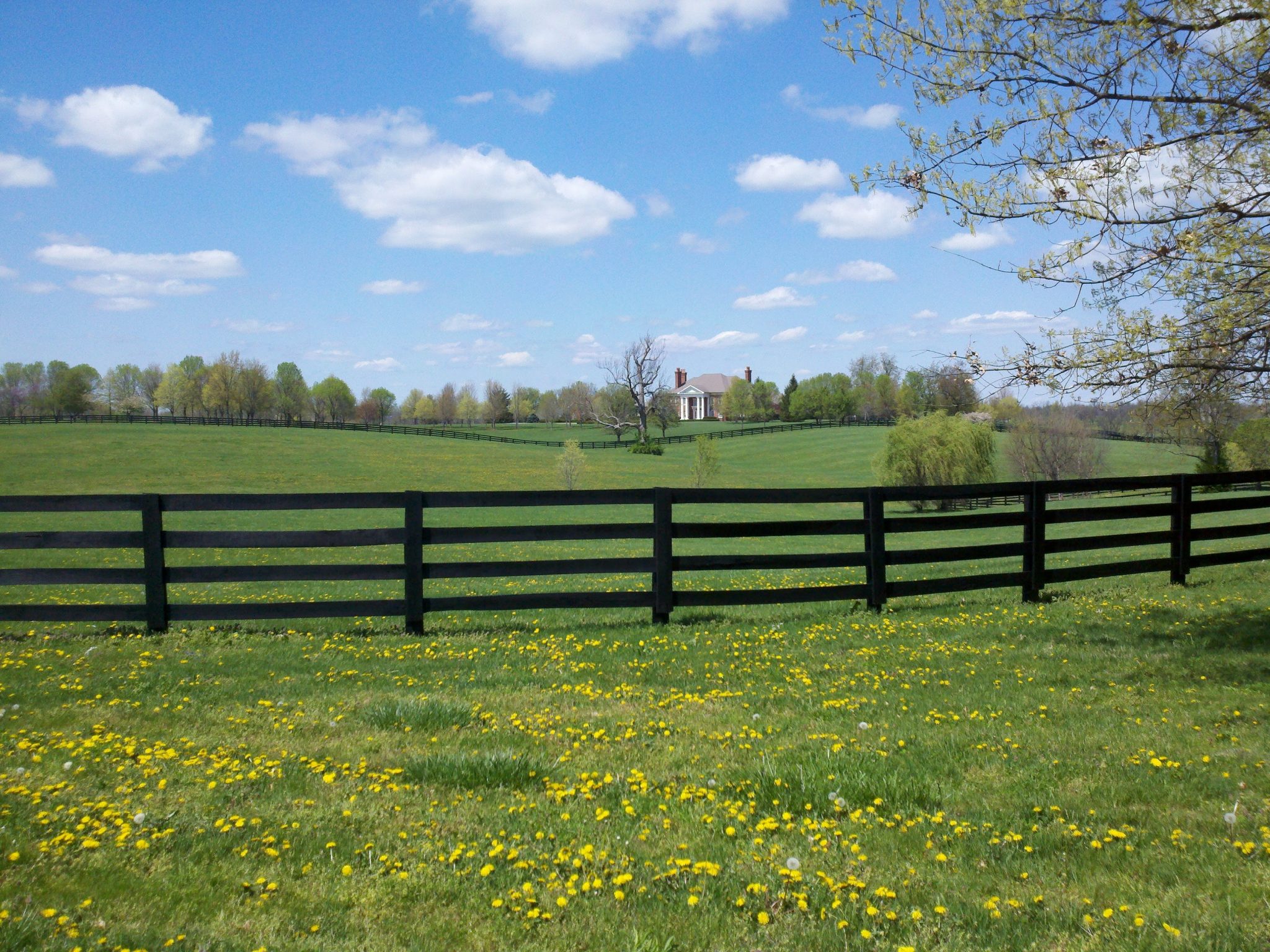 Farm, Lexington Kentucky