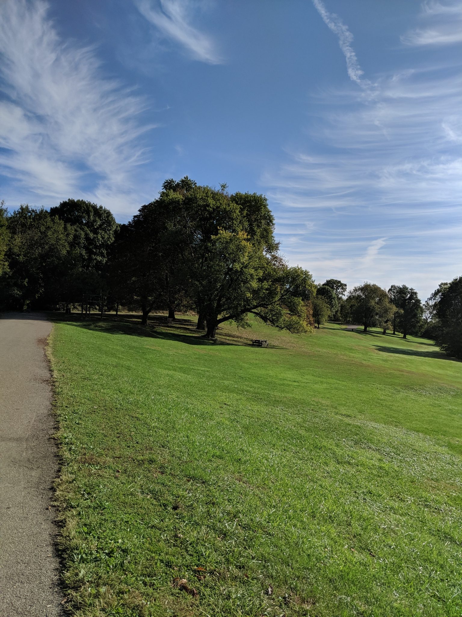 A very green field with some trees