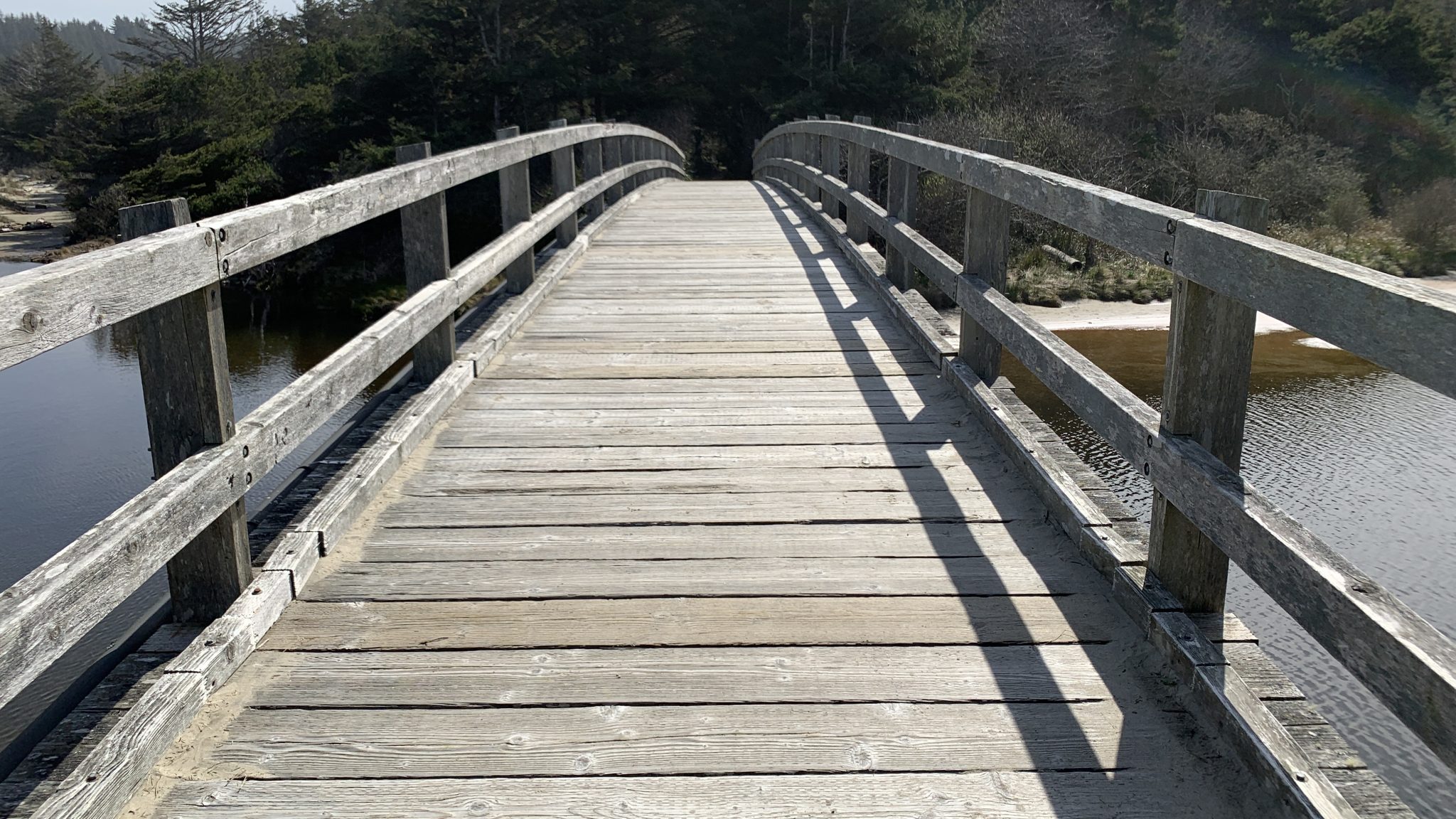 Path Over Wooden Bridge