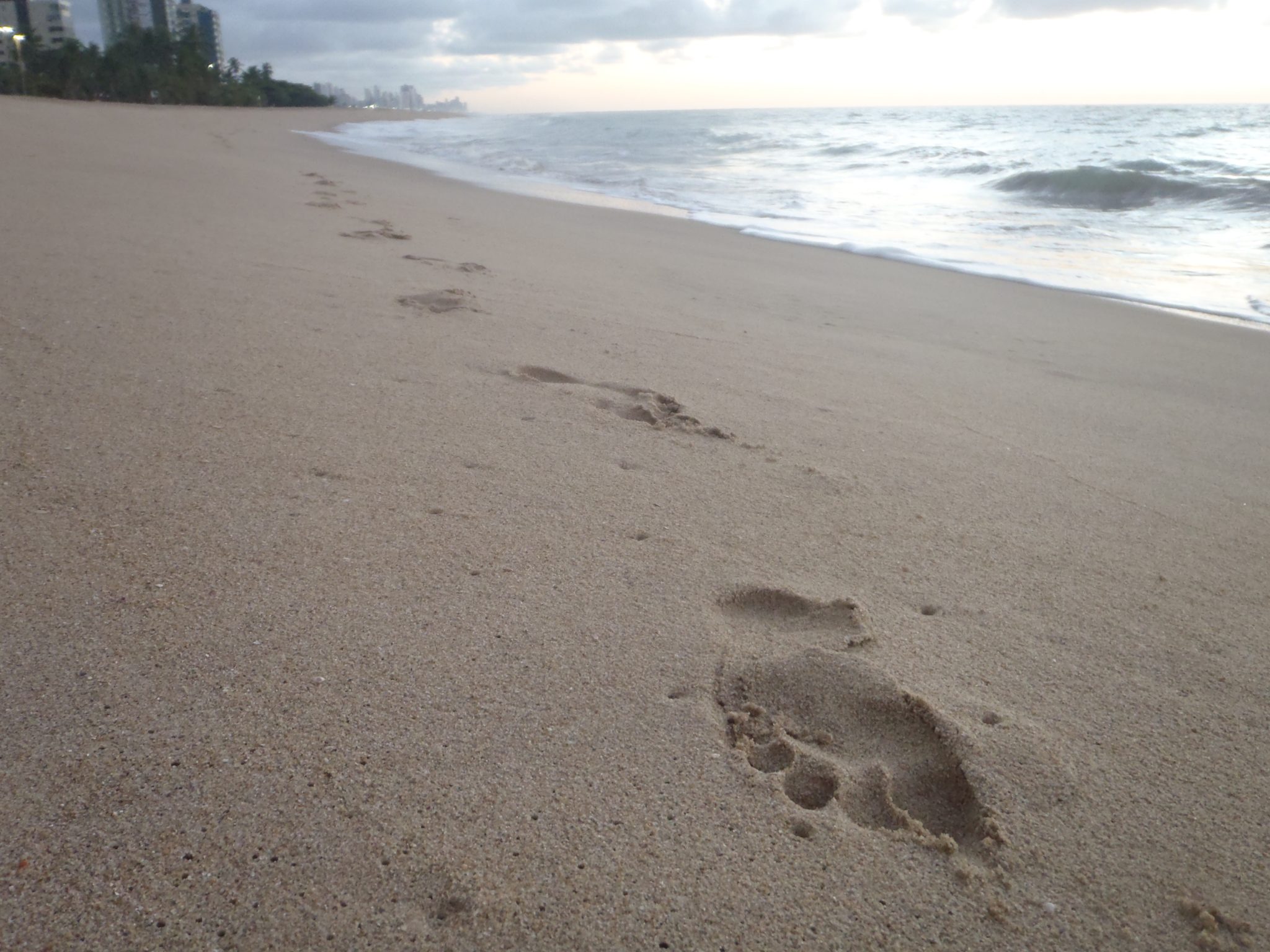 Footbrints in the sand on the beach