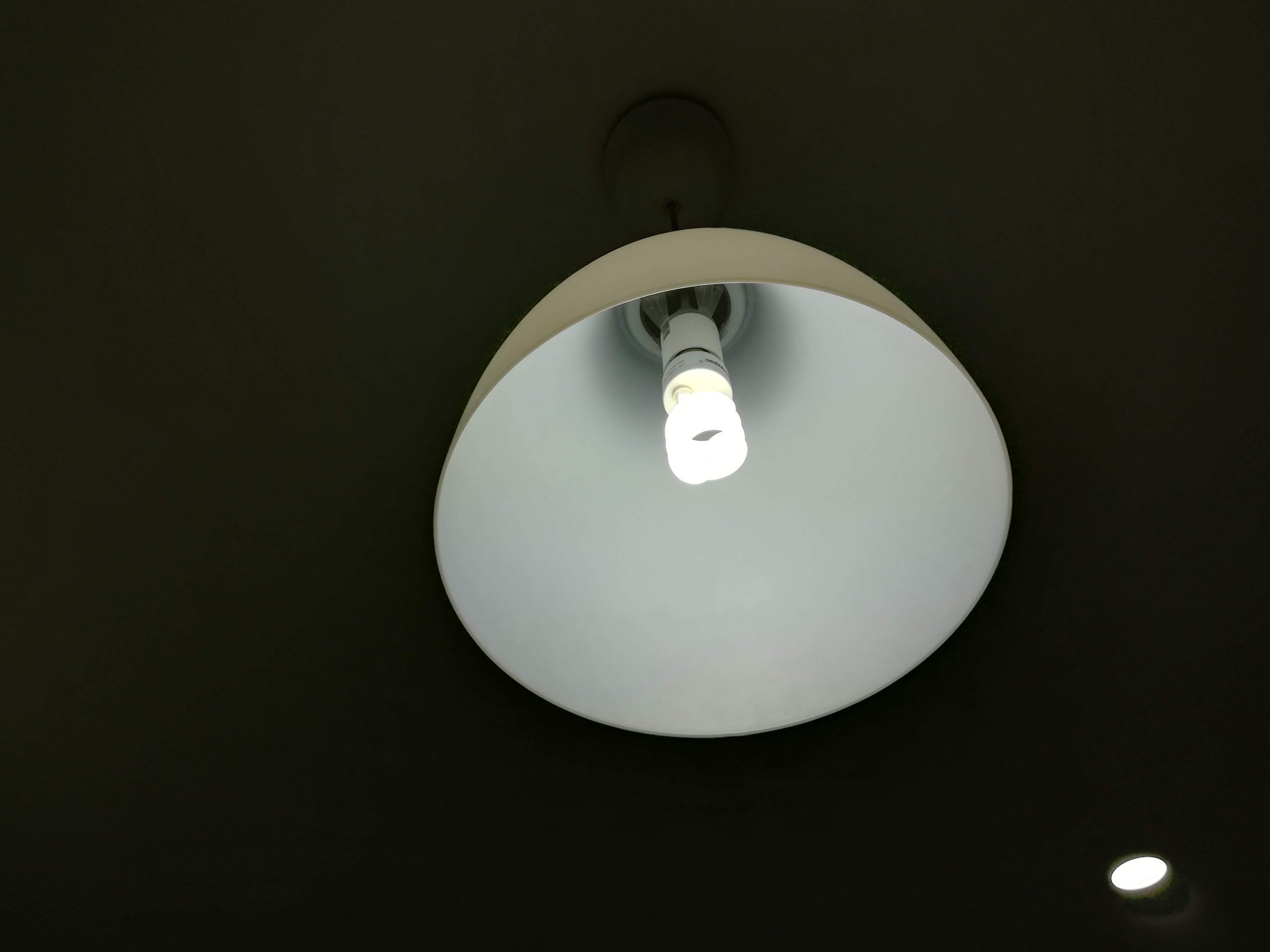 Overhead light with fluorescent bulb.