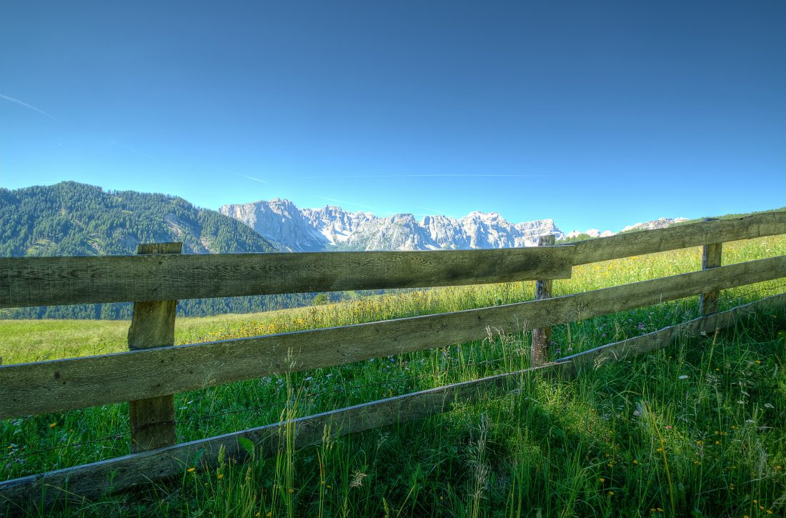 Green Fields