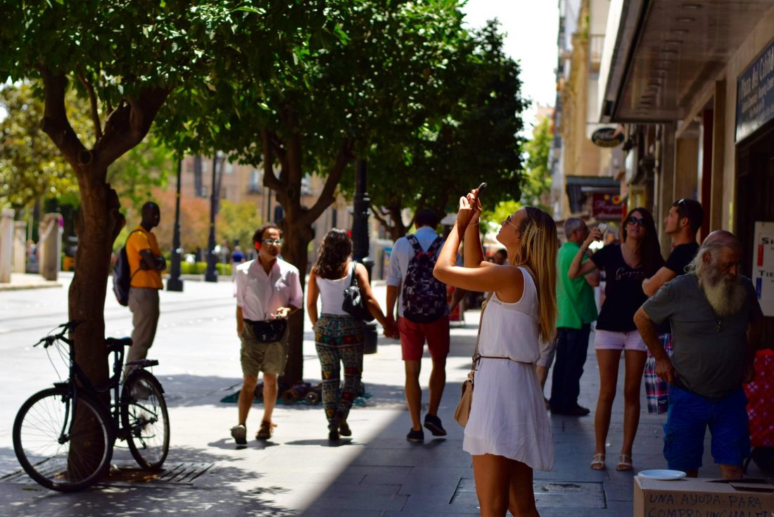 Sunshine Snapshot