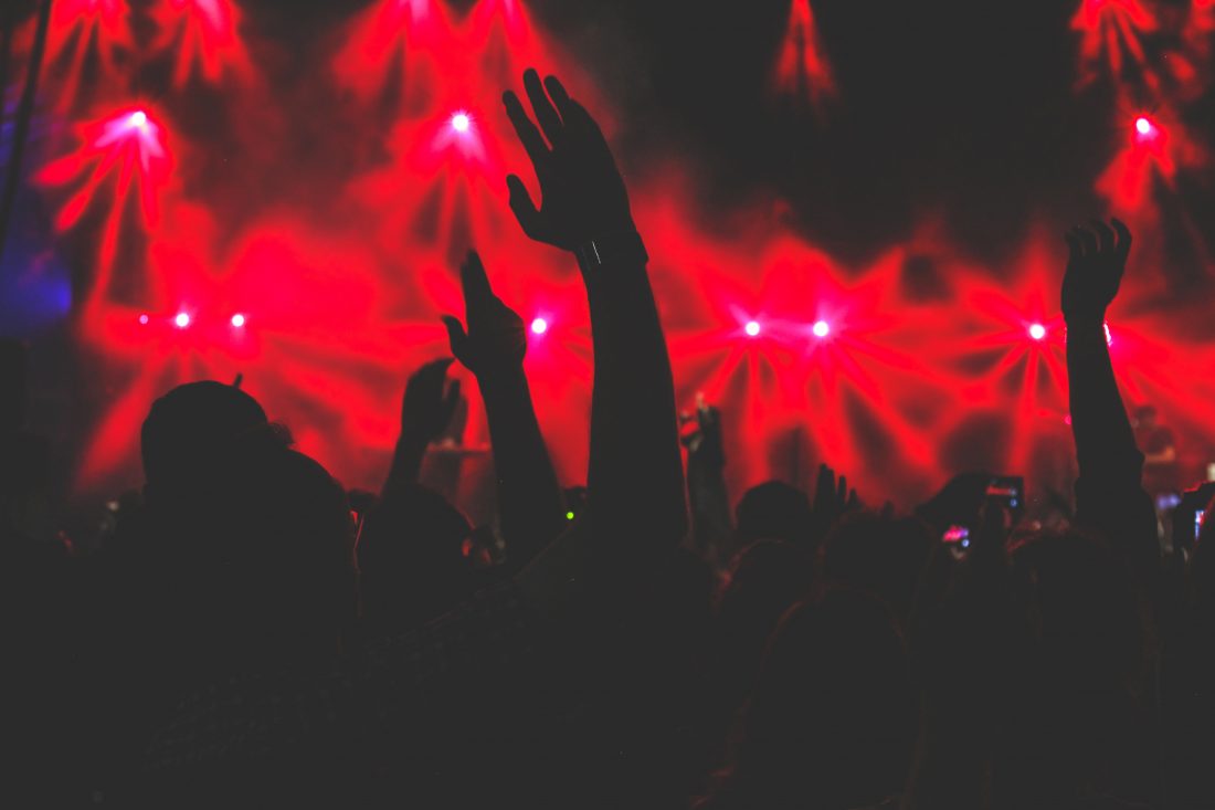 Crowd At Concert