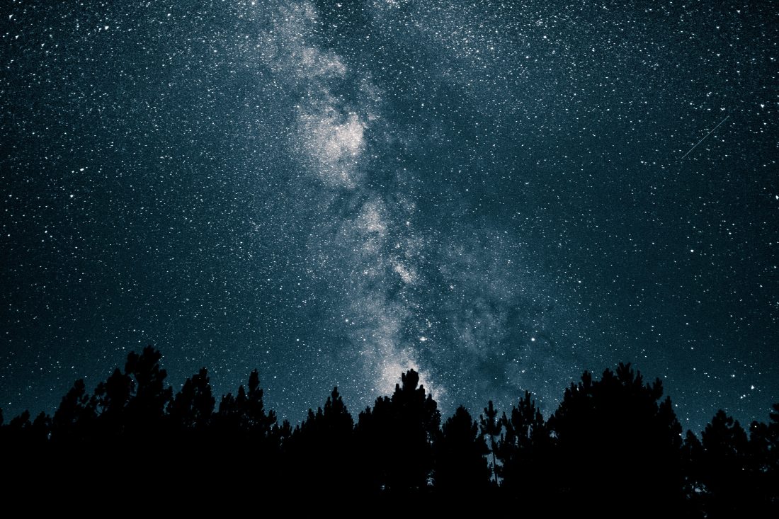 Stars Over Forest