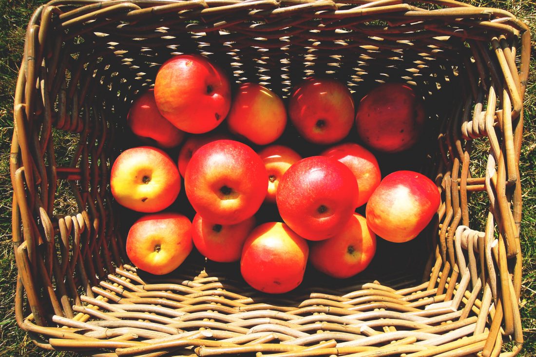 Basket of Apples