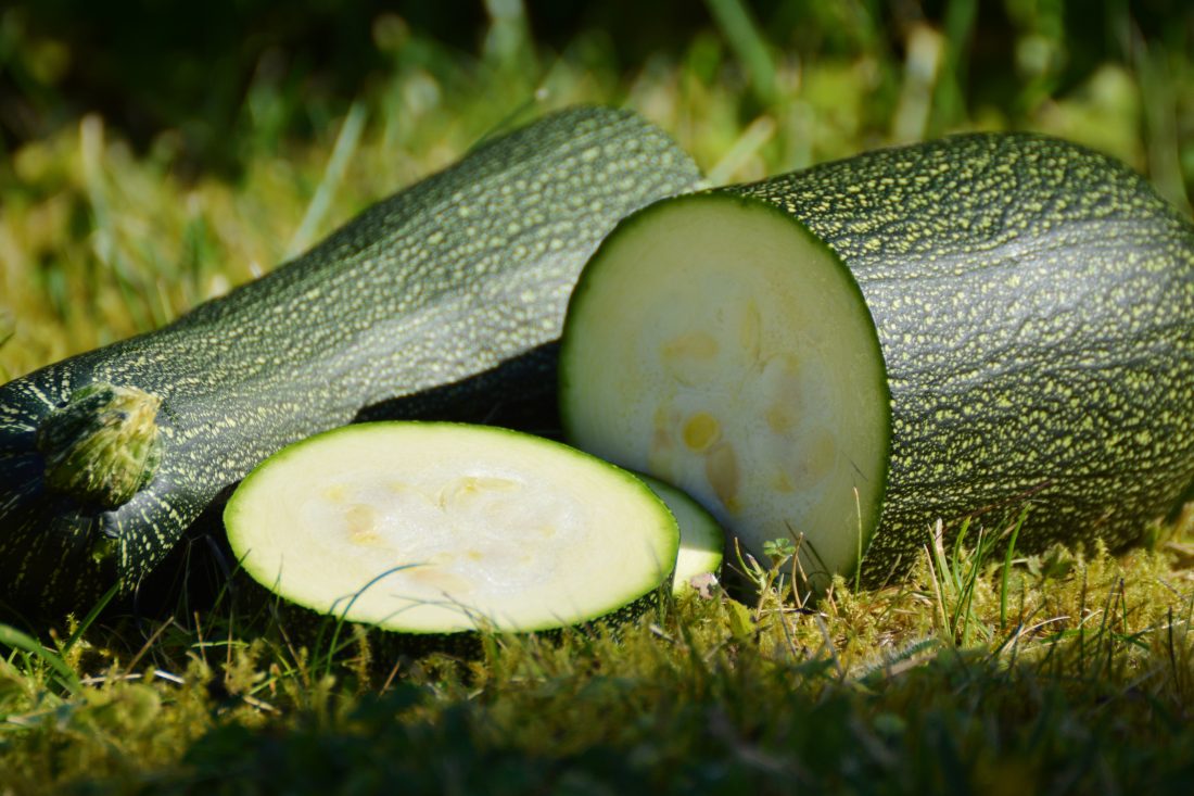 Zucchini Vegetables