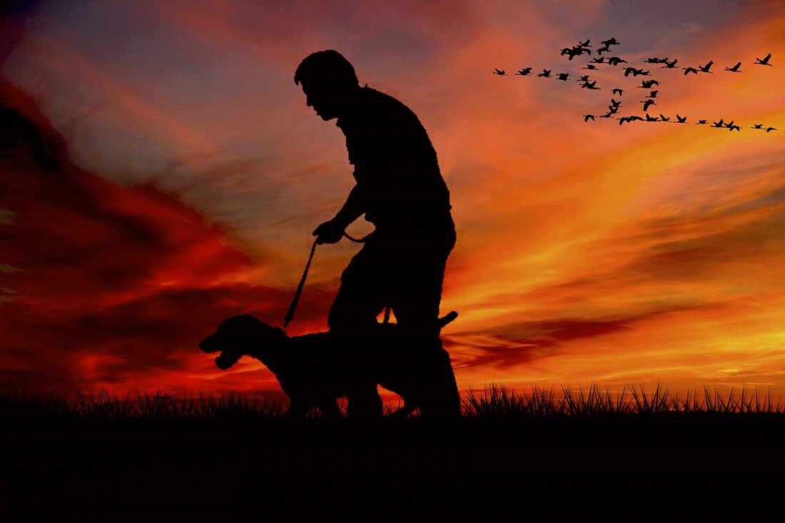 Man Walking Dog
