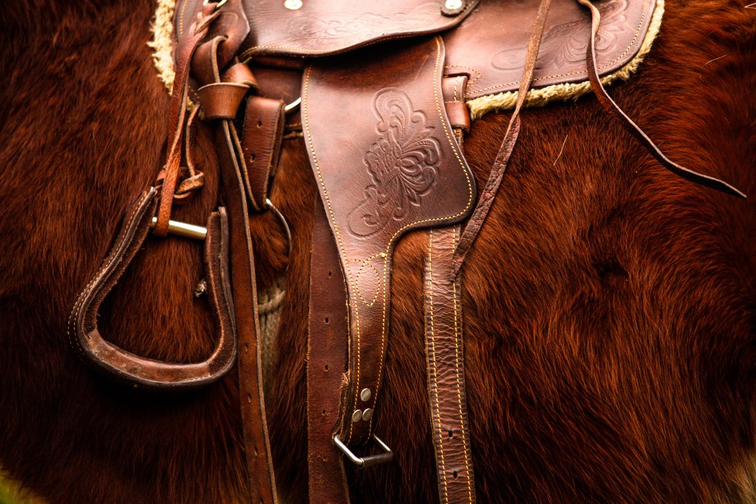 Horse Saddle