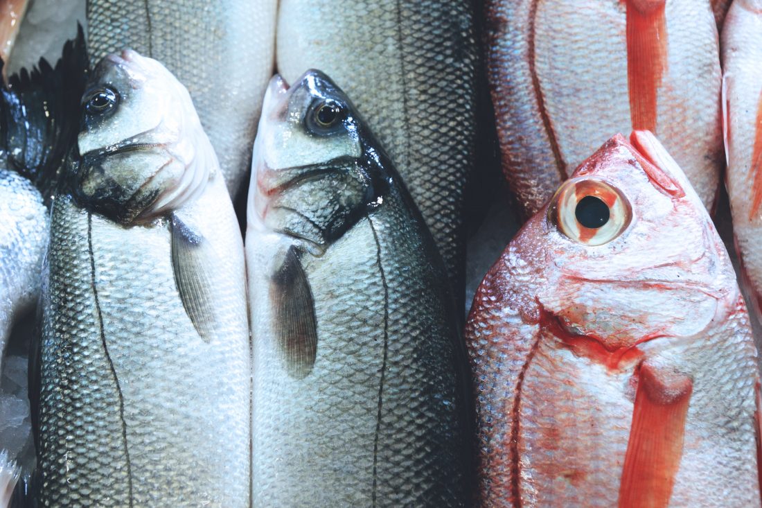Market Fish