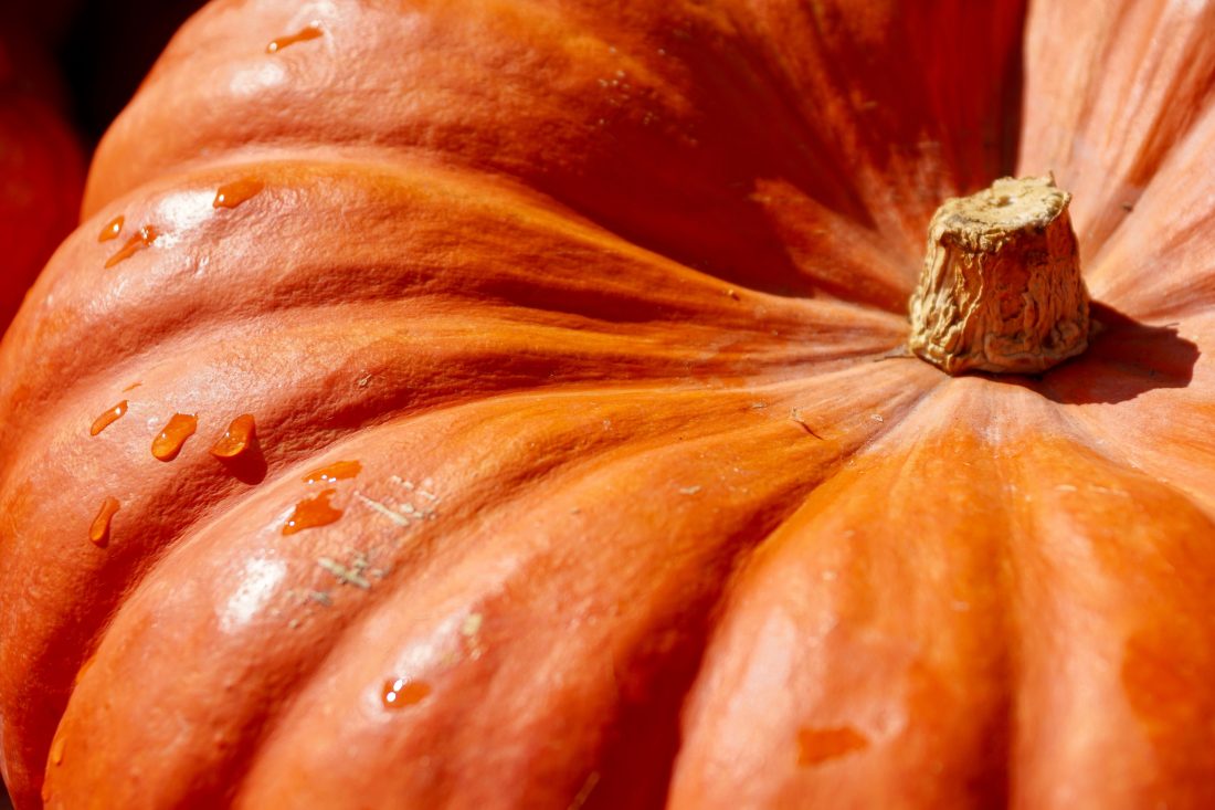 Orange Pumpkin